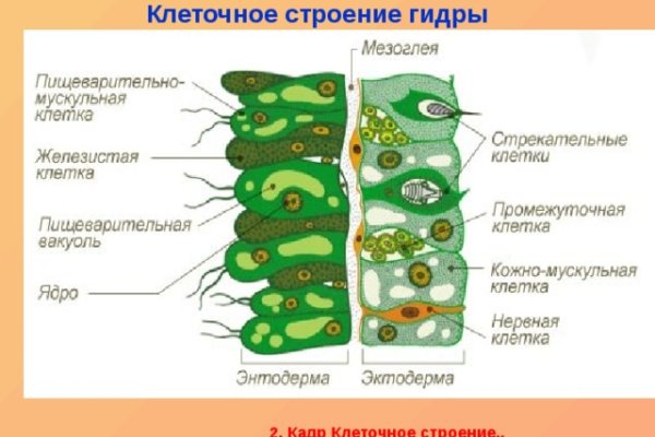 Кракен at