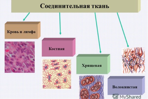 Кракен вход официальный сайт
